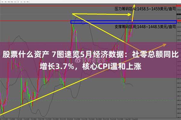 股票什么资产 7图速览5月经济数据：社零总额同比增长3.7%，核心CPI温和上涨