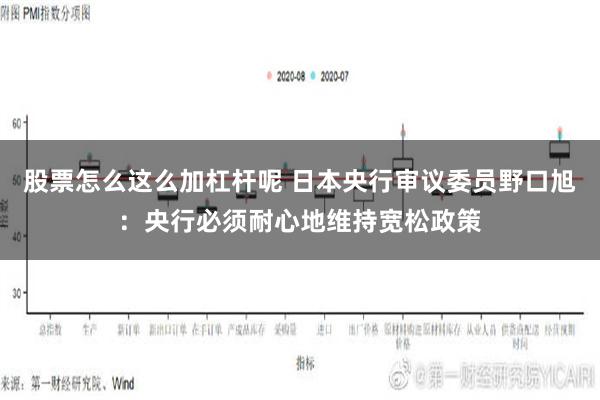 股票怎么这么加杠杆呢 日本央行审议委员野口旭：央行必须耐心地维持宽松政策