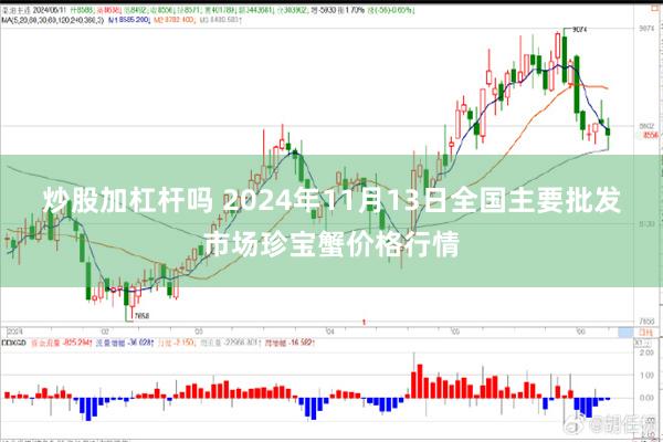 炒股加杠杆吗 2024年11月13日全国主要批发市场珍宝蟹价格行情