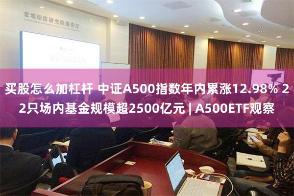 买股怎么加杠杆 中证A500指数年内累涨12.98% 22只场内基金规模超2500亿元 | A500ETF观察