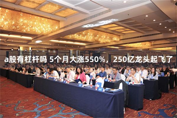 a股有杠杆吗 5个月大涨550%，250亿龙头起飞了